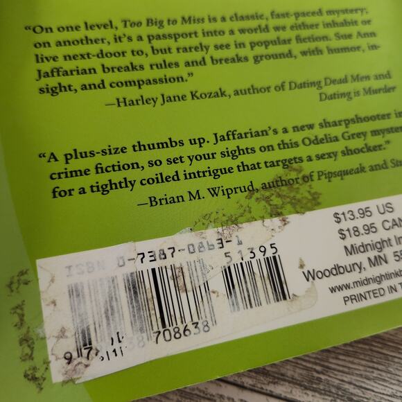 TOO BIG TO MISS An Odelia Grey‎ Mystery Sue Ann Jaffarian Trade Paperback 2006 - Picture 6 of 11
